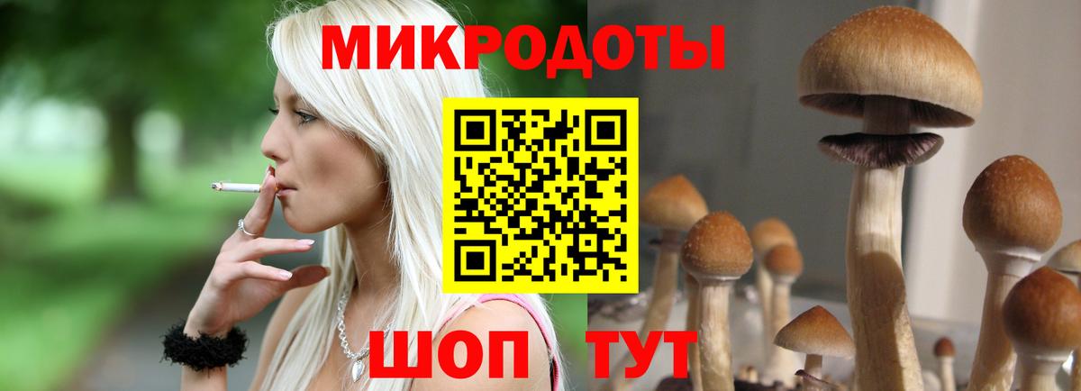 Карасук  Галлюциногенные грибы Psilocybe  Псилоцибиновые грибы мицелий  Вход с VPN 